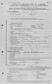 David Domenic Death.jpg